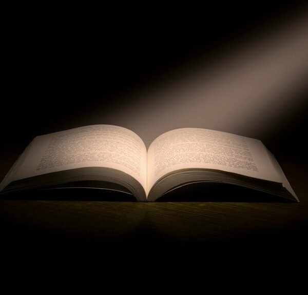 Commercial Insight Correlation Digest for 653451271, 518880482, 607408037,&hellip;