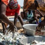 enterprise process activity overview