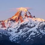 neural apex flux technology