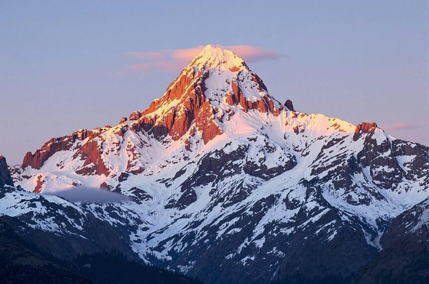 neural apex flux technology