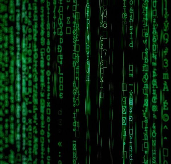 stellar cyber flow matrix