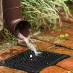 Reading the Slow Drain a Sarasota Rainy Season Leaves Behind